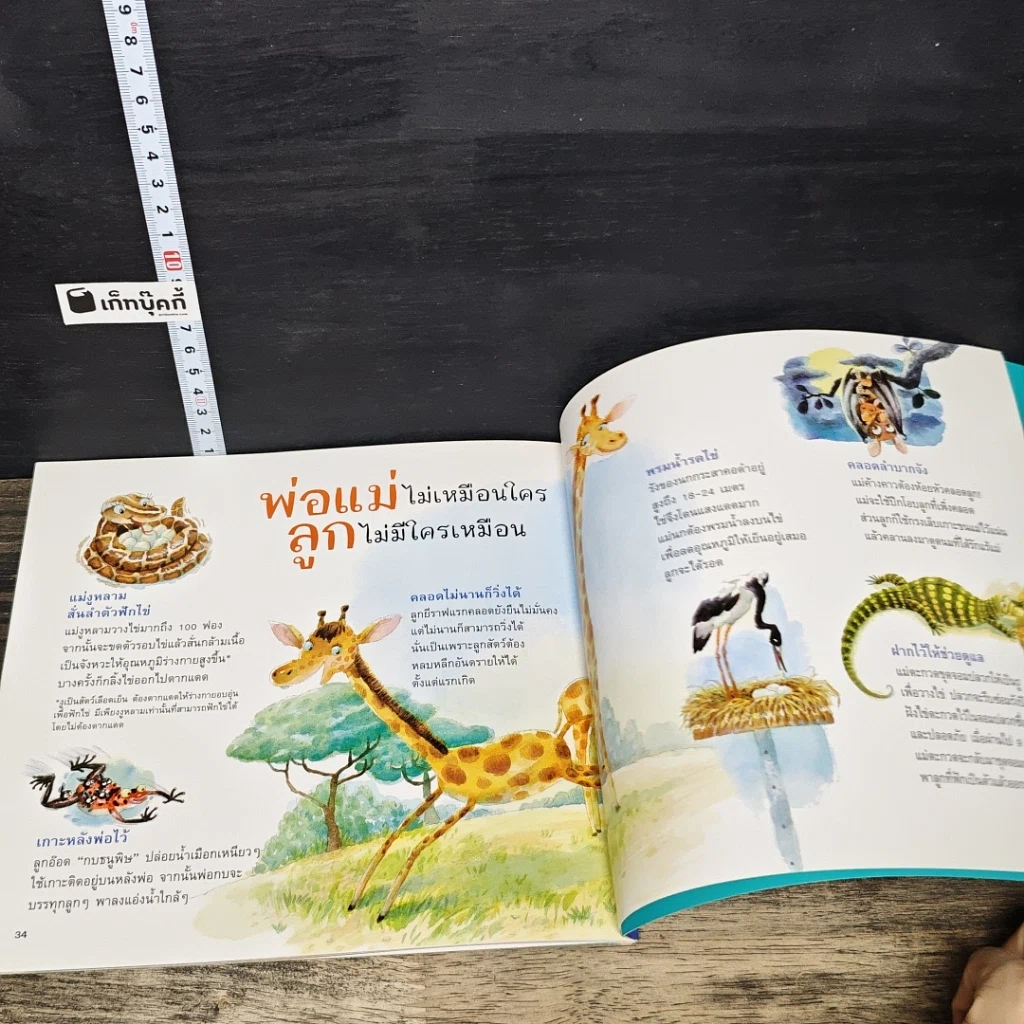 หนังสือ พ่อแม่ฉันที่หนึ่งเลย รูปที่ 8