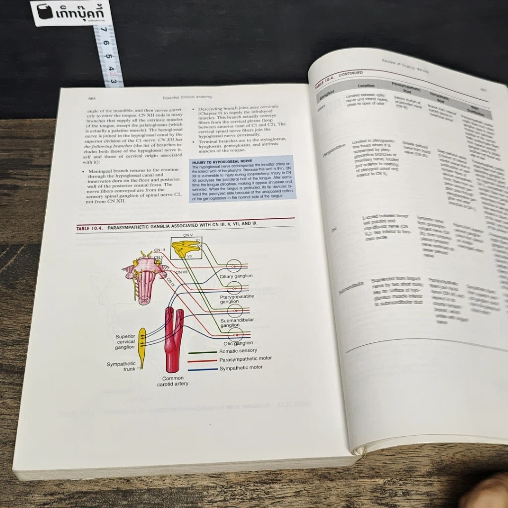 หนังสือ Essential Clinical Anatomy รูปที่ 10