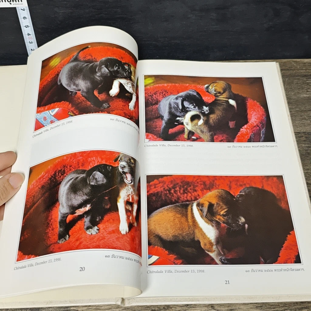 หนังสือ เรื่อง ทองแดง The Story of Tongdaeng รูปที่ 7