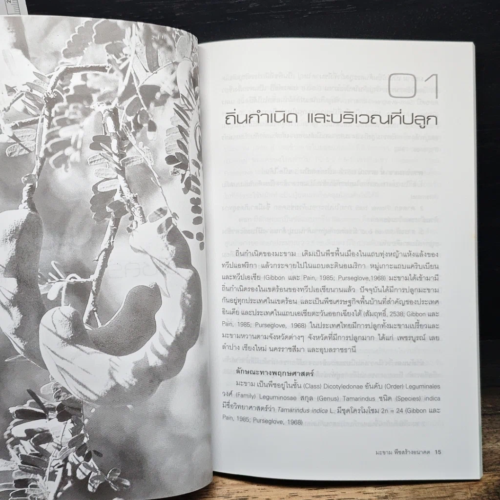 หนังสือ มะขาม พืชสร้างอนาคต รูปที่ 7