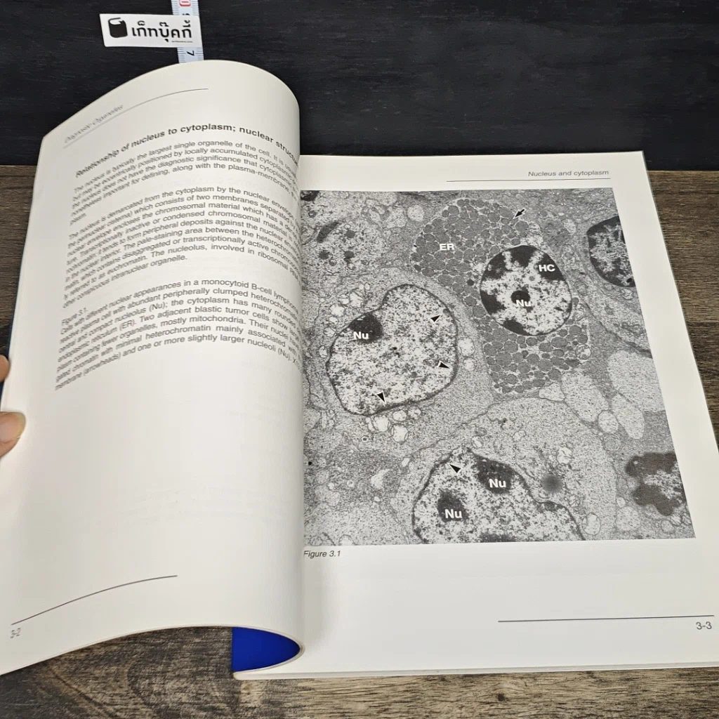หนังสือ Handbook of Diagnostic Electron Microscopy for Pathologists-in-Training รูปที่ 8