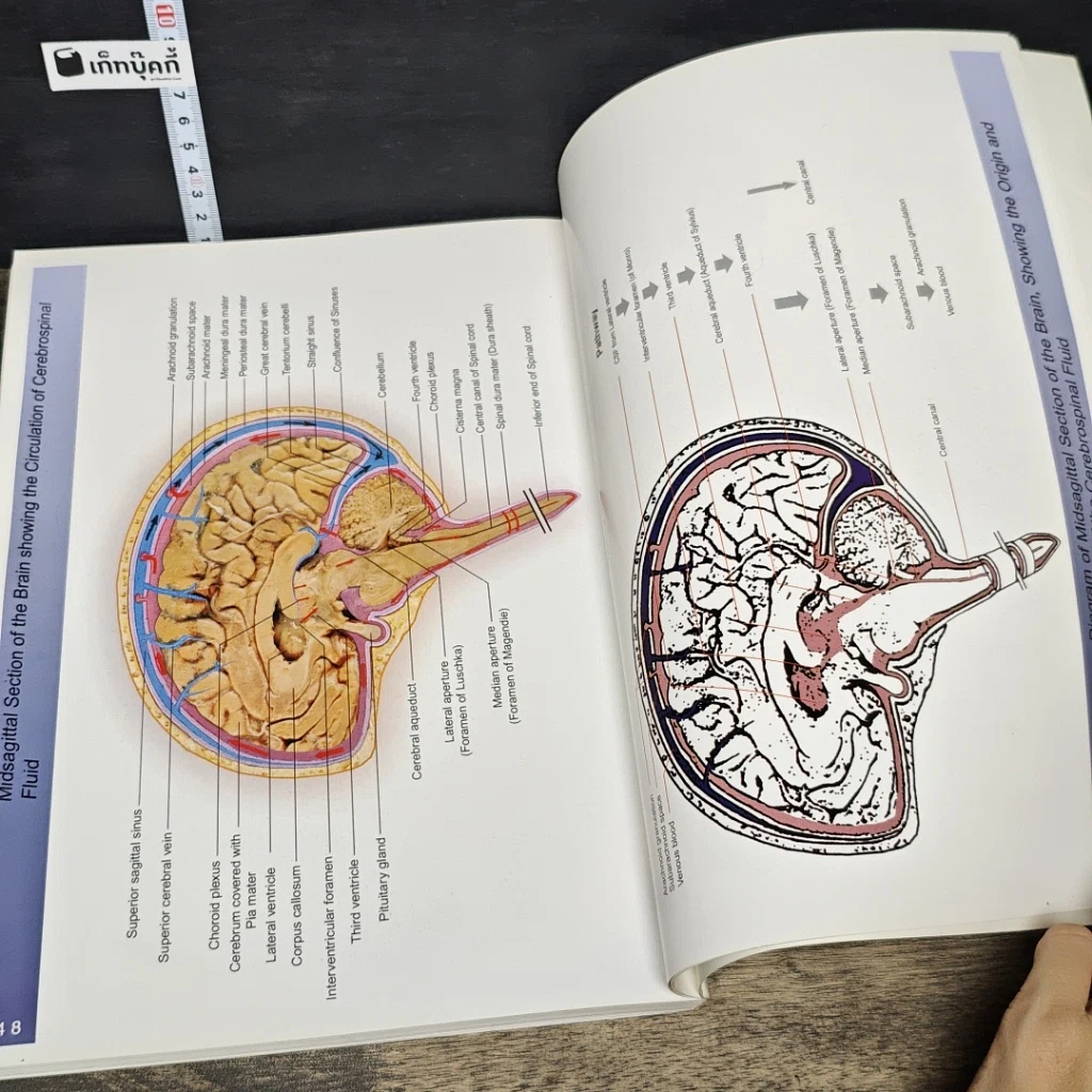 หนังสือ The Atlas of Brain and Spinal Cord รูปที่ 10
