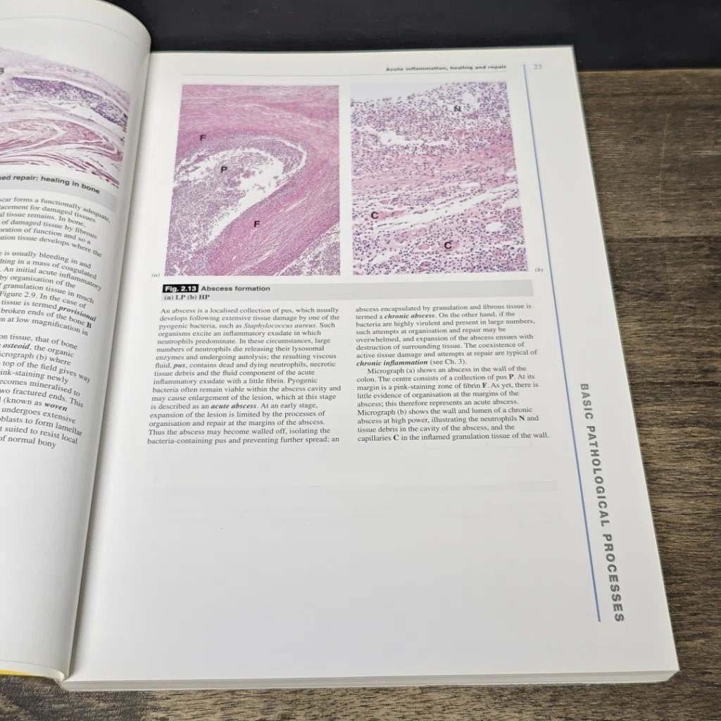 หนังสือ Wheater's Basic Histopathology รูปที่ 9
