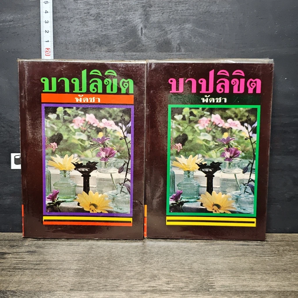 หนังสือ บาปลิขิต 2 เล่มจบ รูปที่ 1