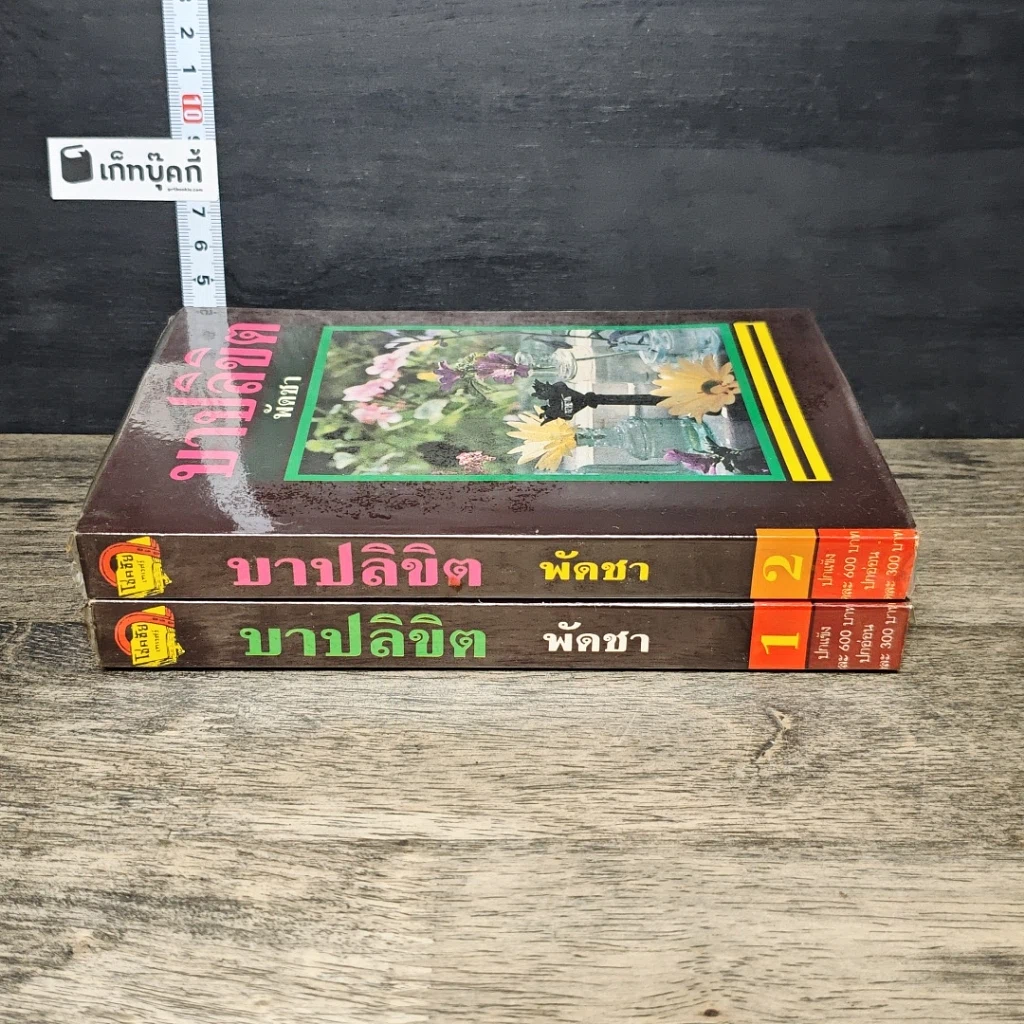 หนังสือ บาปลิขิต 2 เล่มจบ รูปที่ 3