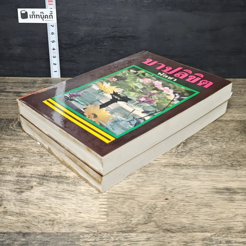 หนังสือ บาปลิขิต 2 เล่มจบ รูปที่ 4