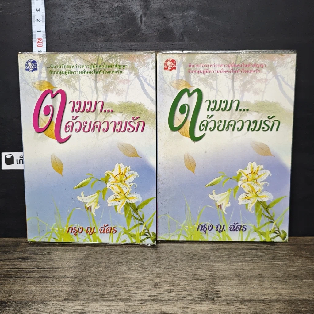 หนังสือ ตามมา...ด้วยความรัก 2 เล่มจบ รูปที่ 1