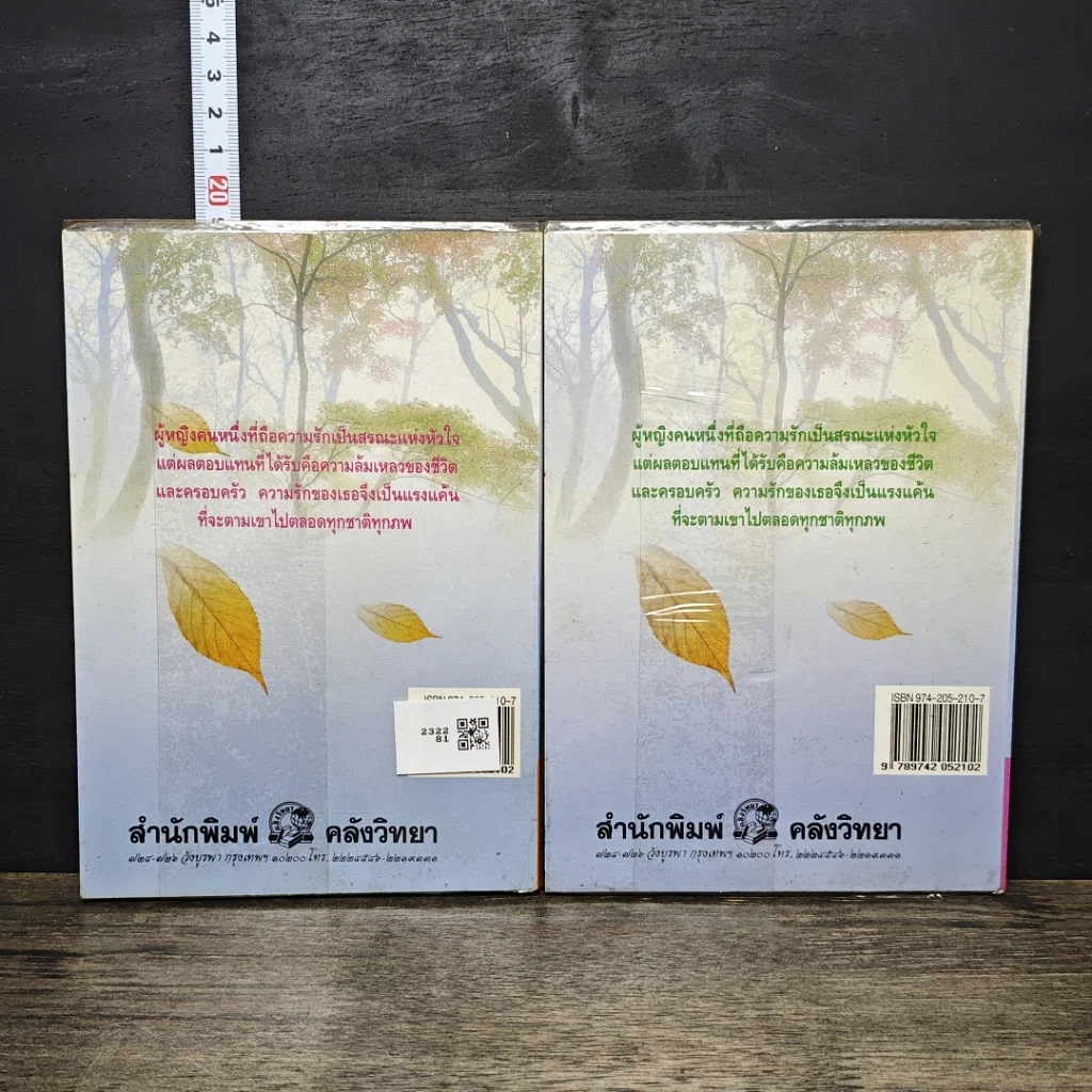 หนังสือ ตามมา...ด้วยความรัก 2 เล่มจบ รูปที่ 2