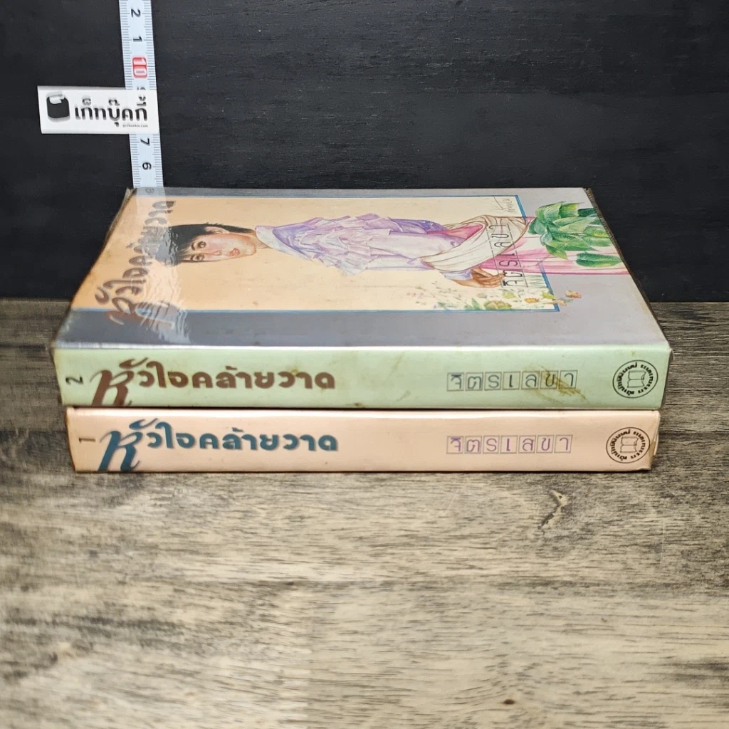 หนังสือ หัวใจคล้ายวาด 2 เล่มจบ รูปที่ 3