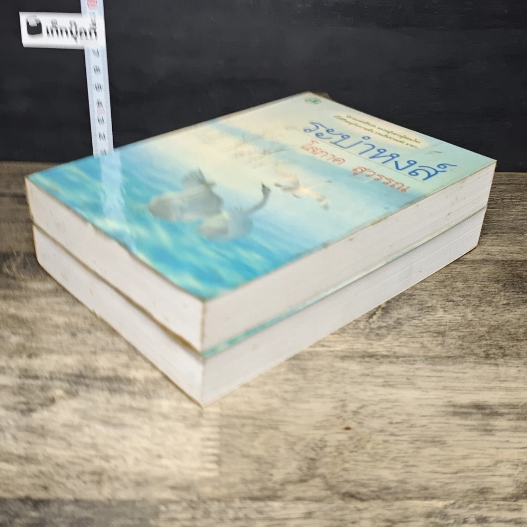 หนังสือ ระบำหงส์ 2 เล่มจบ รูปที่ 4