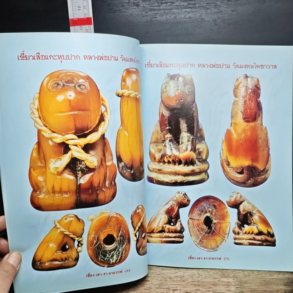 หนังสือ เขี้ยว เขา งา อาถรรพ์เวทย์ รูปที่ 7