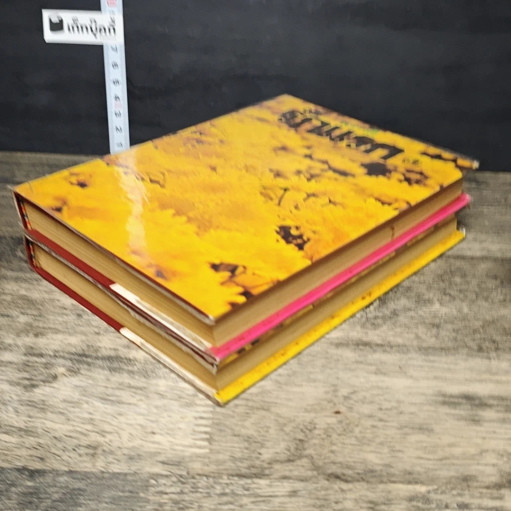 หนังสือ รักแรก 2 เล่มจบ รูปที่ 4