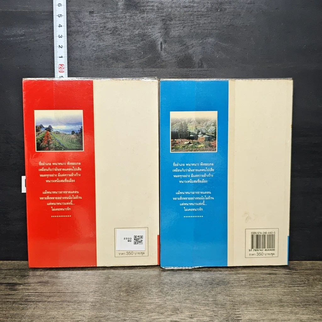 หนังสือ พนาหนาว...ไม่หนาวรัก 2 เล่มจบ รูปที่ 2