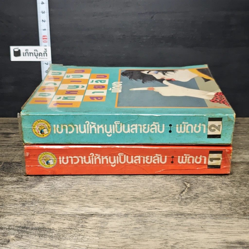 หนังสือ เขาวานให้หนูเป็นสายลับ 2 เล่มจบ รูปที่ 3