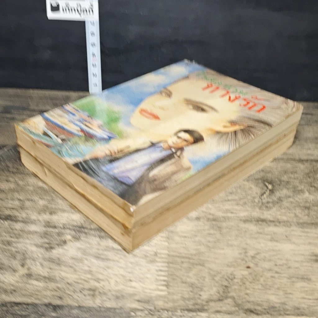หนังสือ ทางรัก 2 เล่มจบ รูปที่ 4
