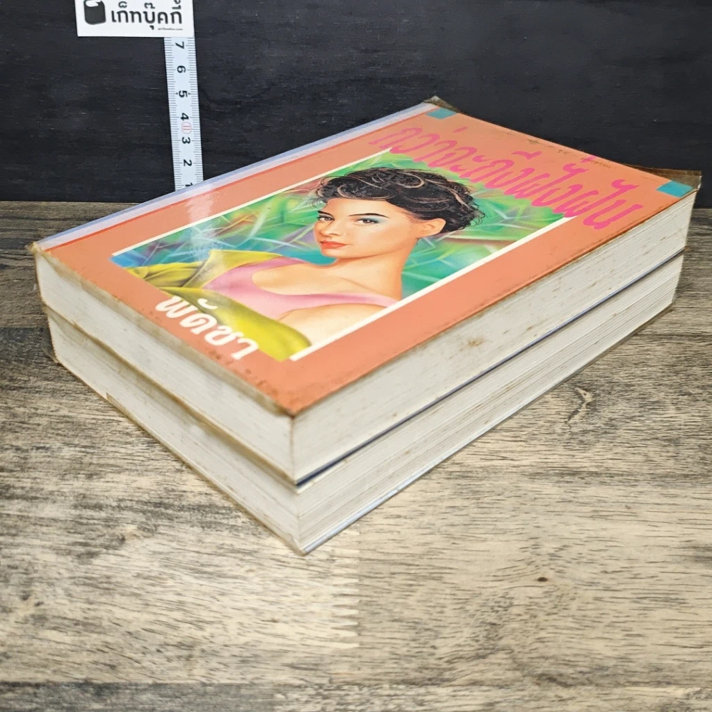 หนังสือ กว่าจะถึงฝั่งฝัน 2 เล่มจบ รูปที่ 4