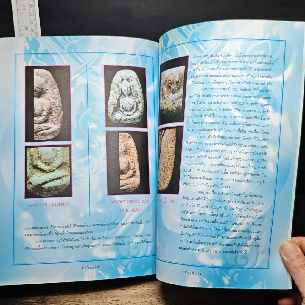 หนังสือ การศึกษาพระเนื้อพง วัดพลับ รูปที่ 7
