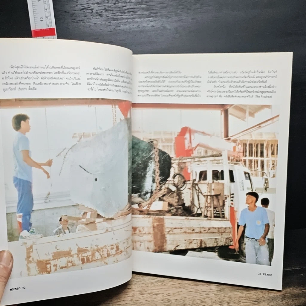 หนังสือ พระพุทธรูปหยกใหญ่ที่สุดในโลก รูปที่ 12