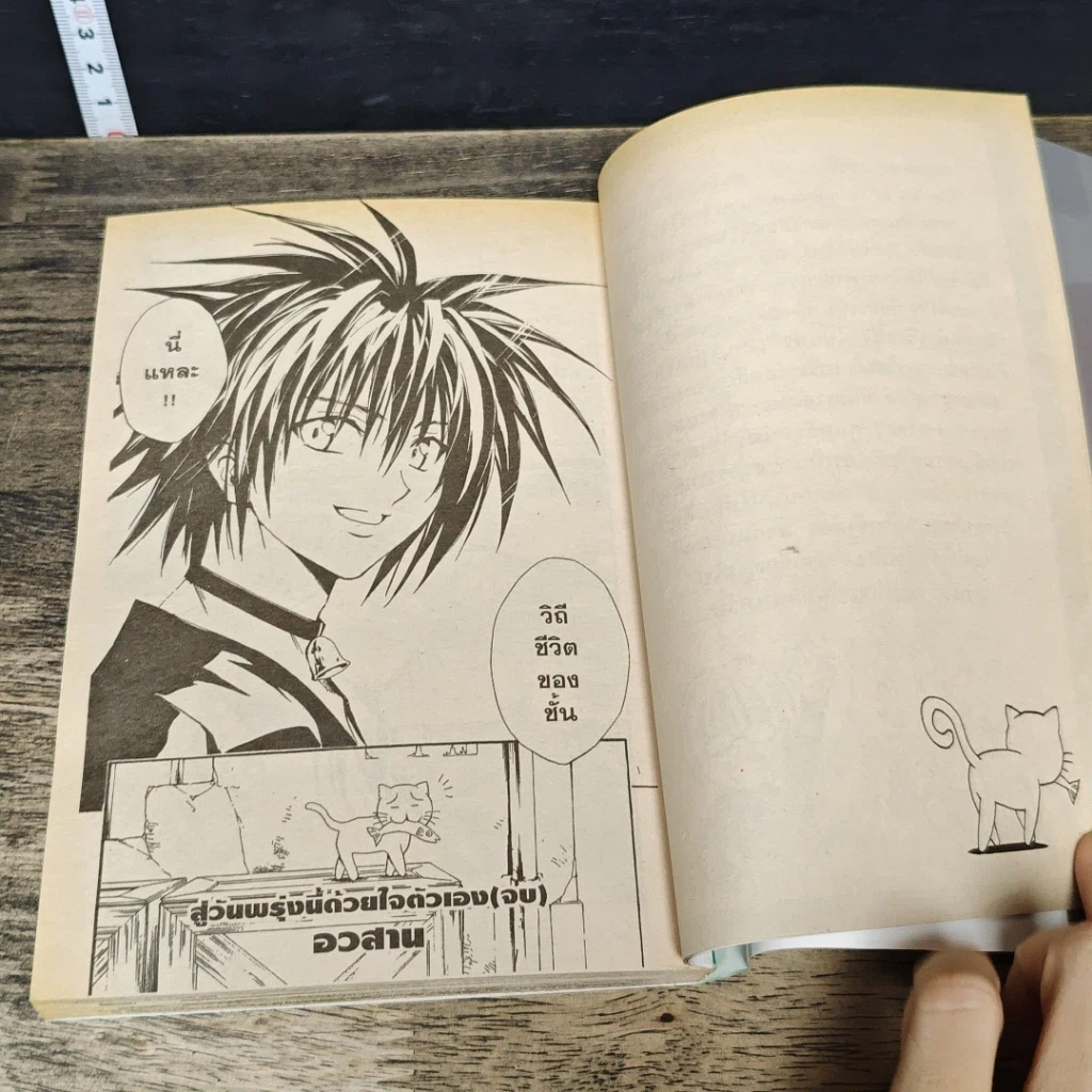 หนังสือ BLACK CAT 20 เล่มจบ รูปที่ 9