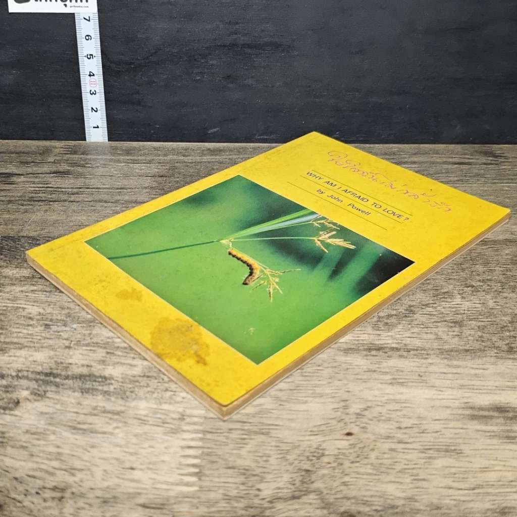 หนังสือ ใยใจฉันไม่กล้ารัก รูปที่ 3
