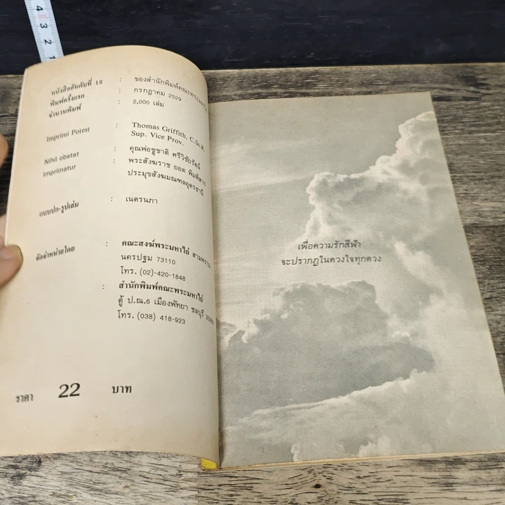 หนังสือ ใยใจฉันไม่กล้ารัก รูปที่ 6