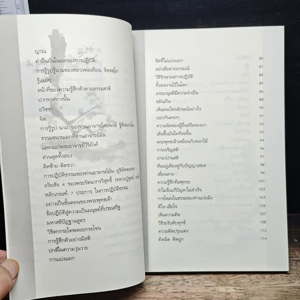 หนังสือ สำหรับ...ผู้เห็นความคิด นิกายเซน รูปที่ 8