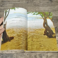 หนังสือ พัทยา+ระยอง+บางแสน รูปที่ 6