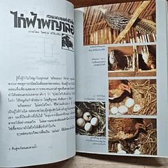 หนังสือ คืนสู่พงไพรและสายน้ำ รูปที่ 7