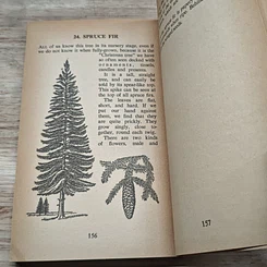 หนังสือ Nature Lover's Book Number 3 รูปที่ 9