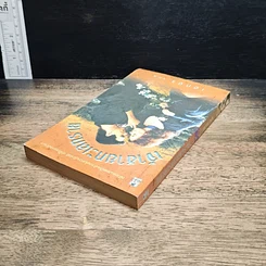 หนังสือ นิยายโรมานซ์ เจ้าชายทะเลทราย รูปที่ 5