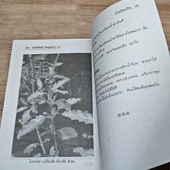 หนังสือ รักษาโรคด้วยน้ำชา รูปที่ 11