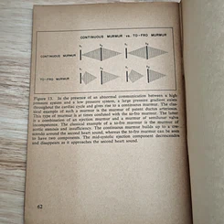 หนังสือ Auscultation เสียงหัวใจ รูปที่ 11