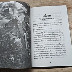หนังสือ ขมิ้นชัน รักษาโรคกระเพาะ สมุนไพรไทย ทางเลือกใหม่สำหรับคุณ รูปที่ 7