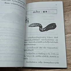 หนังสือ คู่มือ คู่บ้าน เล่ม 4 เนื้อสัตว์ อาหารก็เป็นยาได้ รูปที่ 7