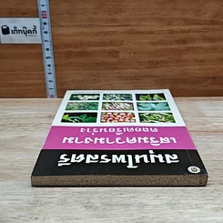 หนังสือ สมุนไพรสตรี เสริมความงาม ตลอดเรือนร่าง รูปที่ 5