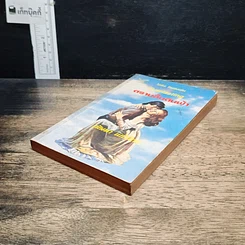 หนังสือ นิยายโรมานซ์ ตราบสิ้นดินฟ้า รูปที่ 4