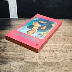 หนังสือ นิยายโรมานซ์ โจรจําแลง รูปที่ 5