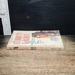 หนังสือ นิยายโรมานซ์ กำแพงเสน่หา รูปที่ 3
