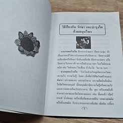 หนังสือ วิธีป้องกัน รักษา บำรุงไต และดวงตา ด้วยสมุนไพร รูปที่ 6