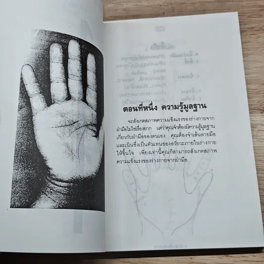 หนังสือ ฝ่ามือสื่อสุขภาพ รูปที่ 6
