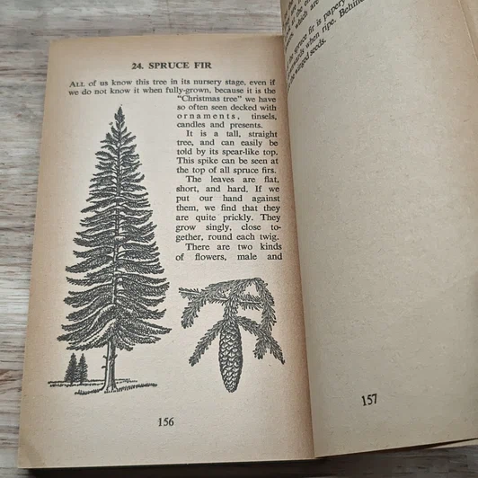 หนังสือ Nature Lover's Book Number 3 รูปที่ 9