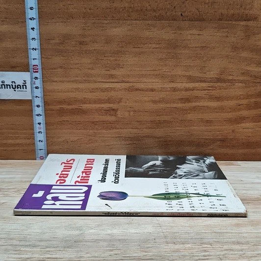 หนังสือ หลับอย่างไรให้สบาย: ป้องกันและรักษาด้วยวิธีธรรมชาติ รูปที่ 3