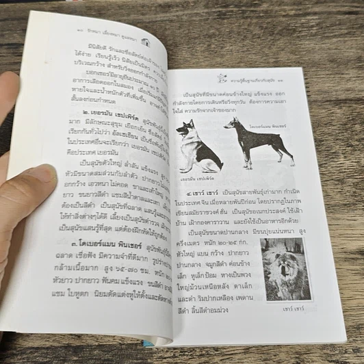 หนังสือ รักหมา เลี้ยงหมา ดูแลหมา รูปที่ 7