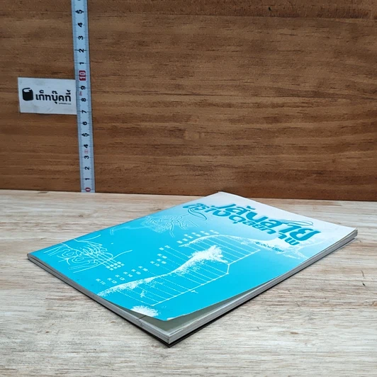 หนังสือ เส้นสายสร้างดุลยภาพ รูปที่ 4