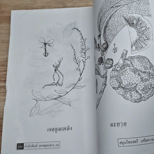 หนังสือ สมุนไพรสตรี เสริมความงาม ตลอดเรือนร่าง รูปที่ 9