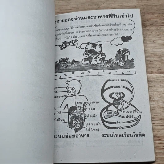 หนังสือ ร่างกายของท่าน รูปที่ 6