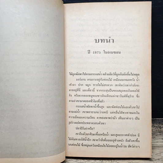 หนังสือ นิยายโรมานซ์ เพลิงสวาทซาตาน รูปที่ 7