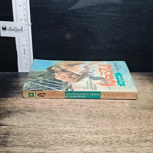 หนังสือ นิยายโรมานซ์ เปลวไฟในอารมณ์ รูปที่ 3
