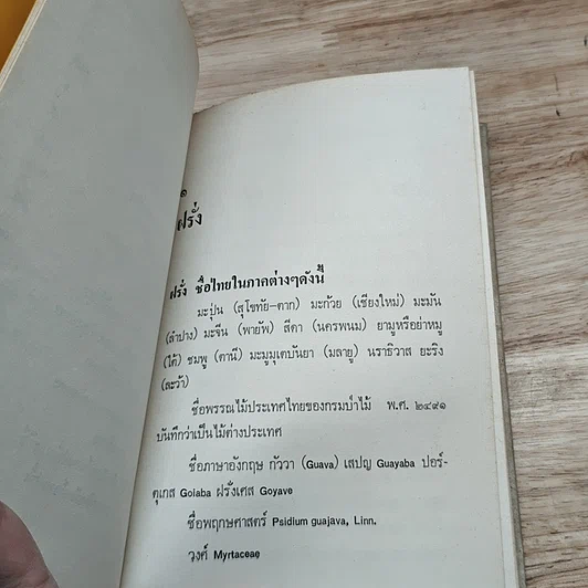 หนังสือ การทำไร่ฝรั่ง รูปที่ 7