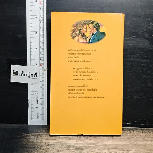 หนังสือ นิยายโรมานซ์ กตัญญูพิศวาส รูปที่ 2